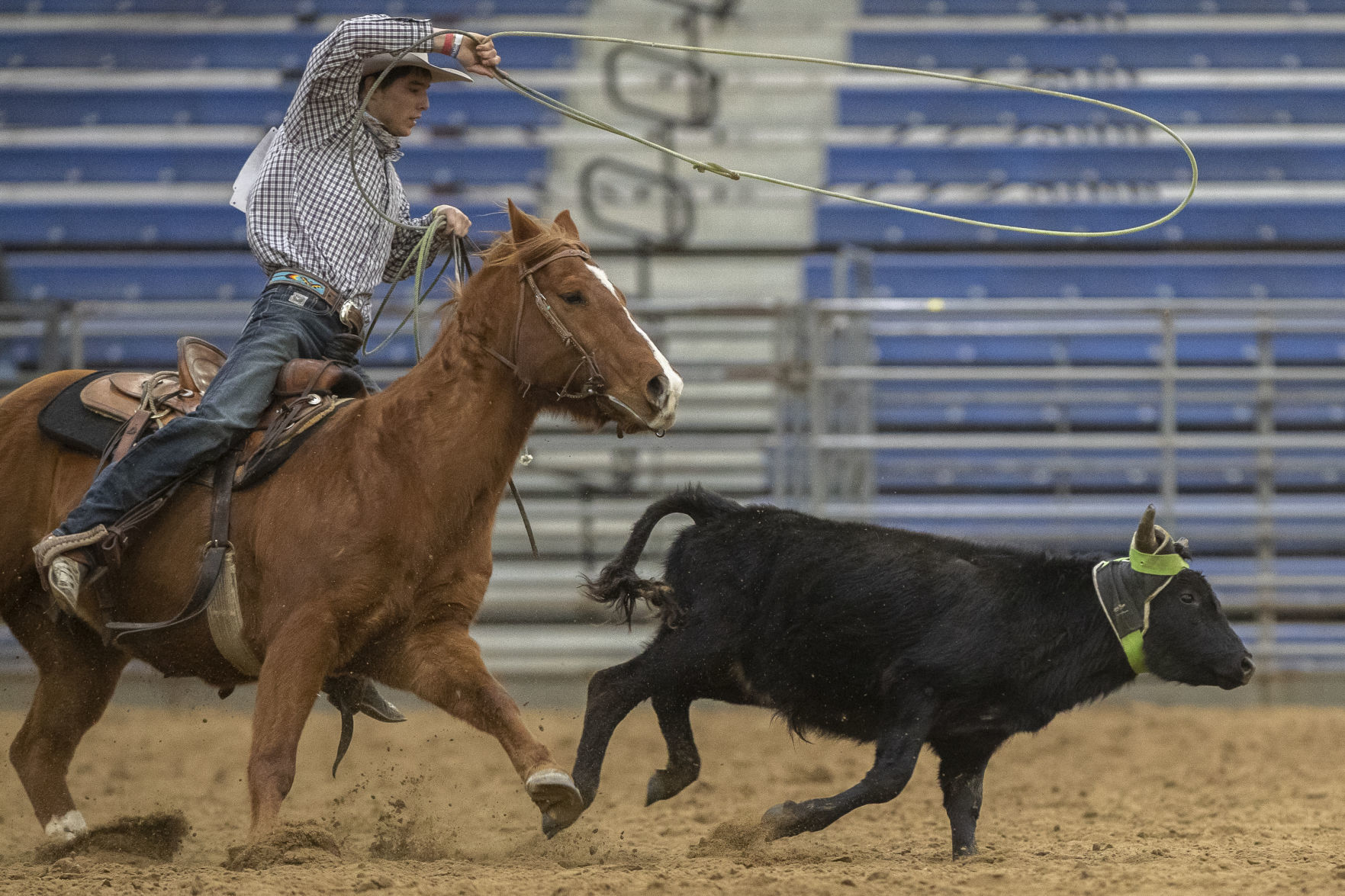 Photos of the week